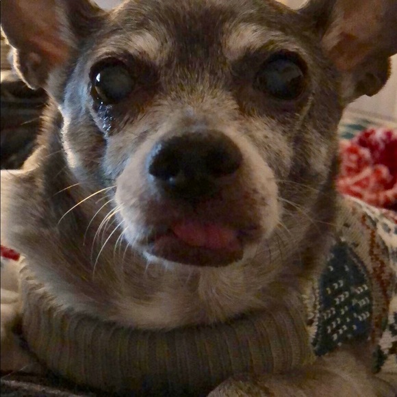 About me! - Picture 5 of 8